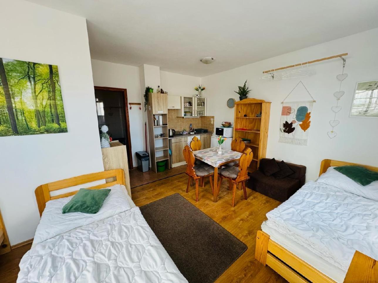 Apartmany Srub Jenisov Horní Planá Zewnętrze zdjęcie
